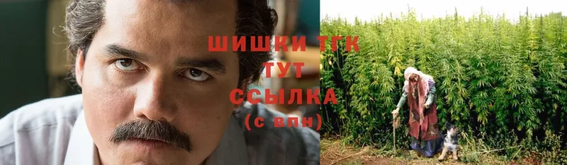 где можно купить наркотик  Ставрополь  hydra зеркало  Шишки марихуана OG Kush 